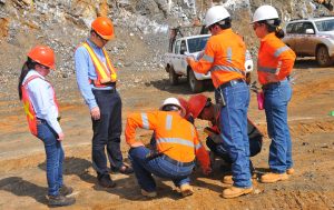 cerromatoso-cinomining-3