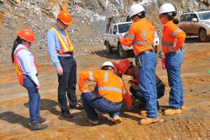 cerromatoso-cinomining-3